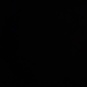 Meet your Posher, Isabel